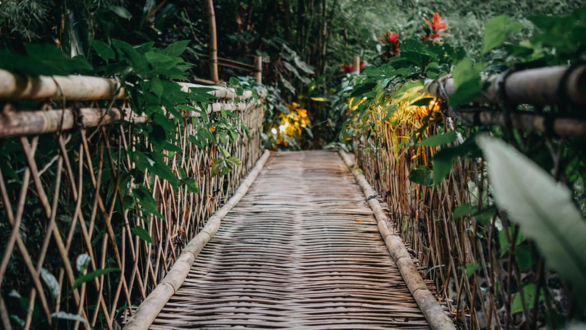 הוילה Selat Hideout Eco Bamboo House Bali חדר תמונה